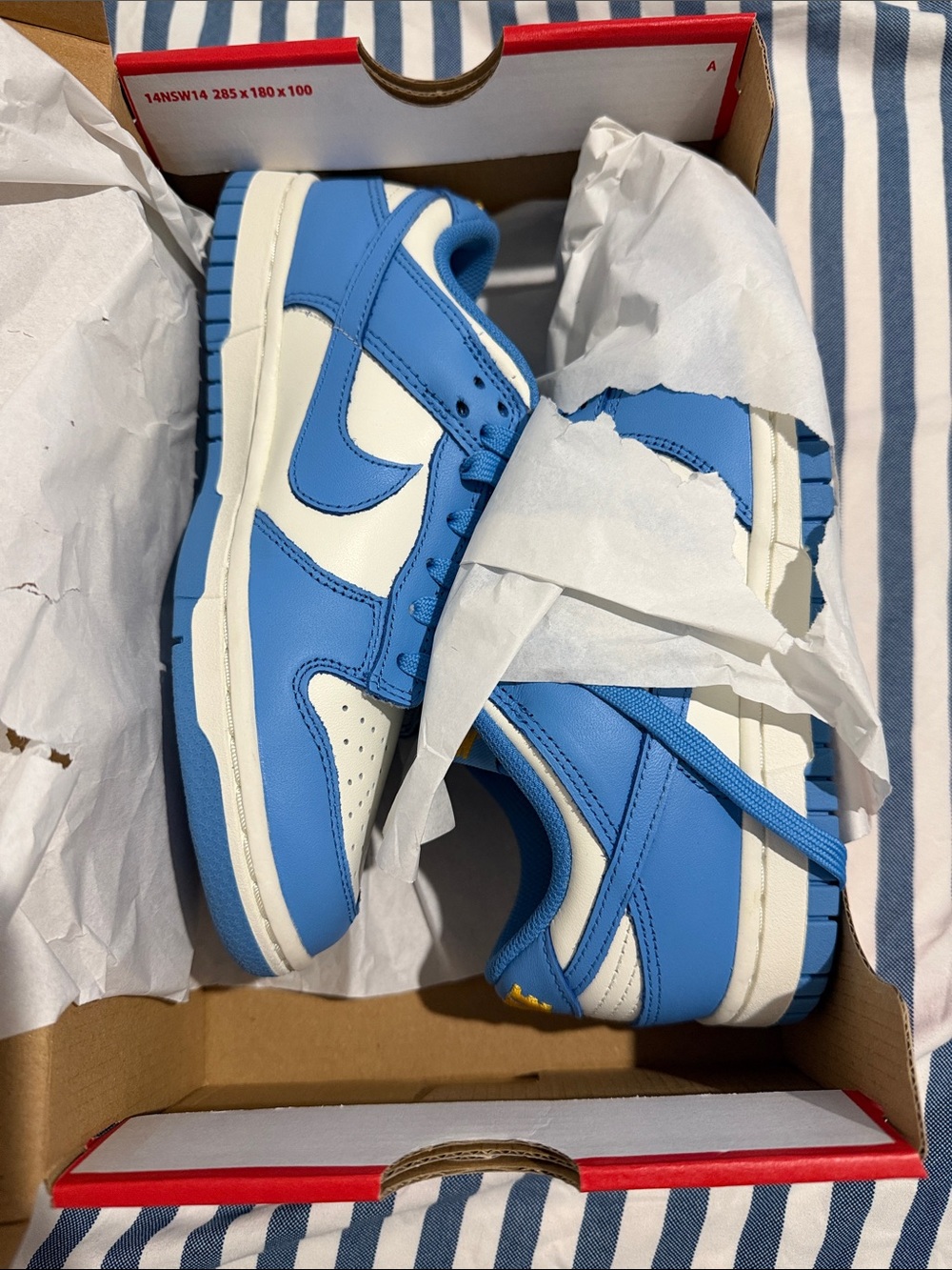 Nike dunk low Sneakers in Blue and White